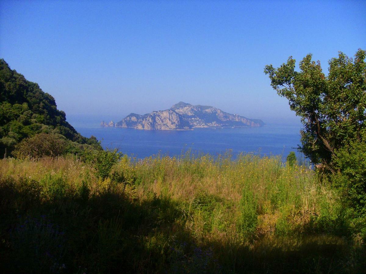 Il Paradiso Degli Dei Agerola Exterior foto